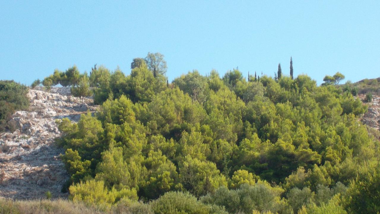 Lithahiro Stone House Villa Agalas Exterior photo